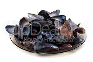 Shells of mussels on glass plate