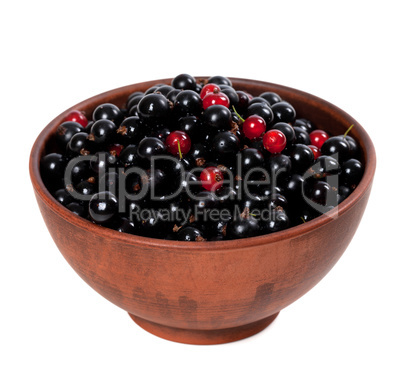 Blackcurrants with redcurrants in ceramic bowl