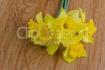 Jonquil flowers