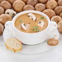 Gesunde Ernährung Pilzsuppe Pilz Champignons Suppe mit Pilze in