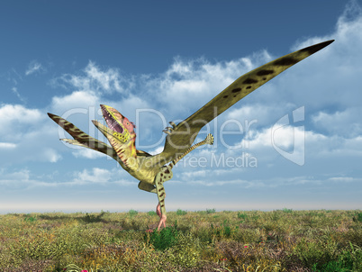 Flugsaurier Peteinosaurus