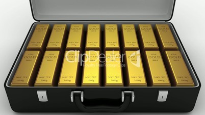 Animated Suitcase with Gold Bars