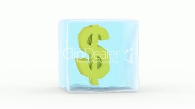 Dollar Frozen in a Block of Ice