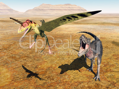 Tarbosaurus attackiert Peteinosaurus