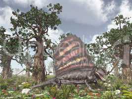 Pelycosaurier Dimetrodon