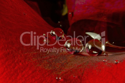 Wassertropfen auf Rosenblatt