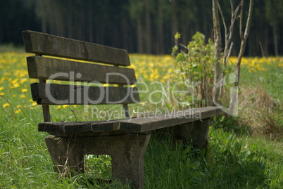 Bank im Feld