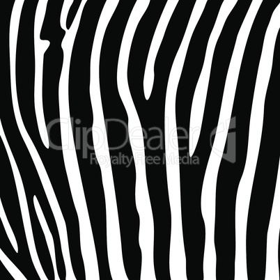 Black and white zebra striped background