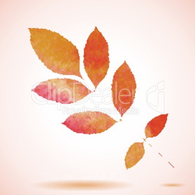 Orange watercolor painted vector ash tree leaf