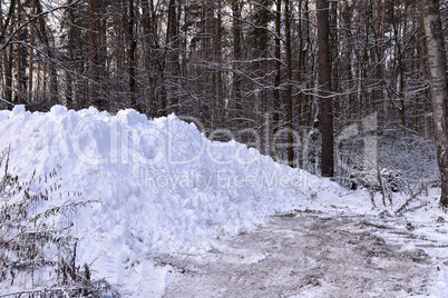 A pile of snow when clearing the road in the woods