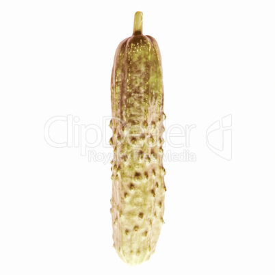 Retro looking Cucumber isolated