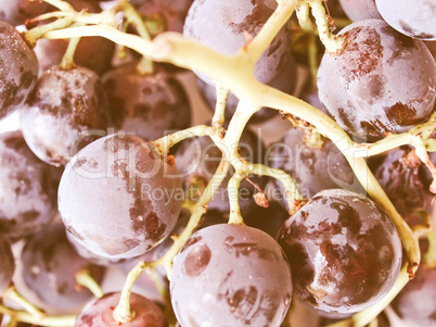 Retro looking Grape