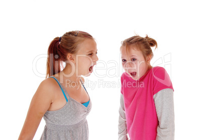 Two sisters screaming at each other.