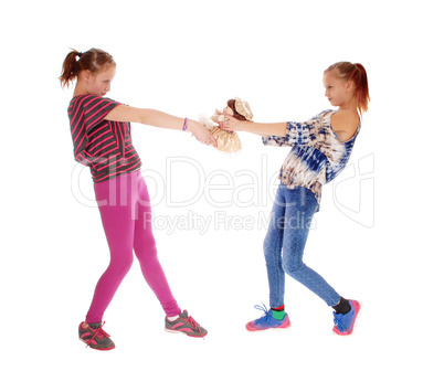 Two girls fighting for dolly.