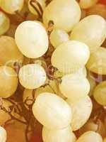 Retro looking Grape picture