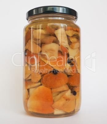 Porcini mushroom jar