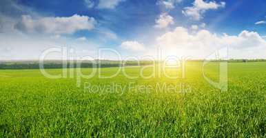 field, sunrise and blue sky