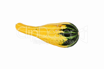 Decorative gourd