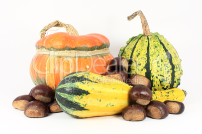 Colorful gourds with chestnuts