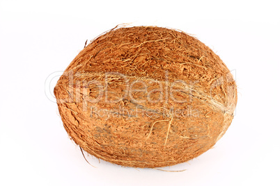 Coconut