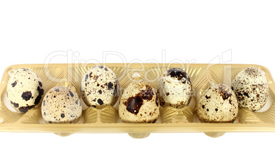 Eggs of japanese quail