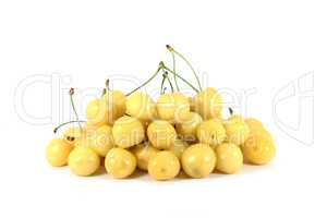 Yellow cherry