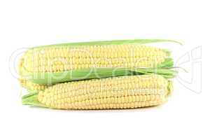 Corn cob sweetcorn