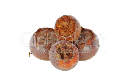 Medlar fruit