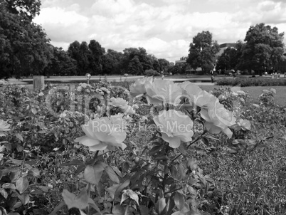 Gardens in Stuttgart Germany