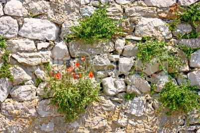 Stone wall