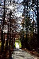 Spätherbst im Wald