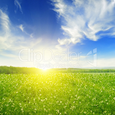 field, sunrise and blue sky