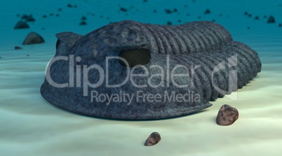 Cambric trilobite render