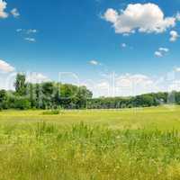 green field and blue sky with clouds