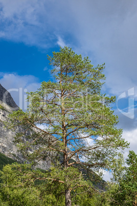 Landschaft in Norwegen