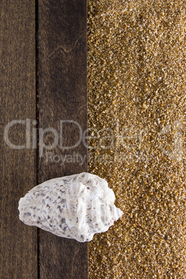 Background with beach sand
