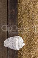 Background with beach sand
