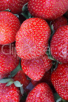 many Strawberry