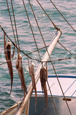 drying octopus and fishing boat