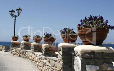 beautiful promenade decorated with flowers on an island in Greece