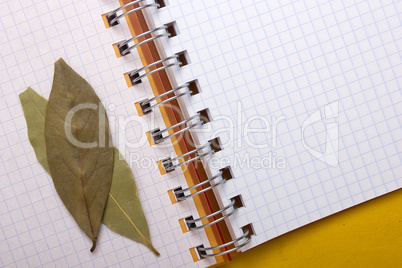 Blank paper for recipes with bay leaf