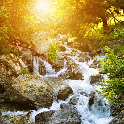 mountain river, forest and bright sun