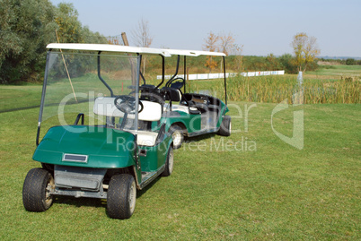 golf electric buggy