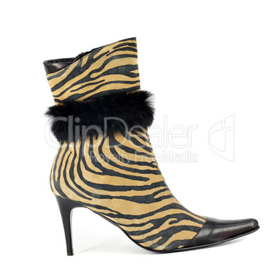 women boot with tiger stripes on white