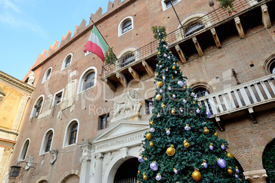 The Christmas pine tree decoration in Verona city, Italy