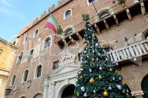 The Christmas pine tree decoration in Verona city, Italy