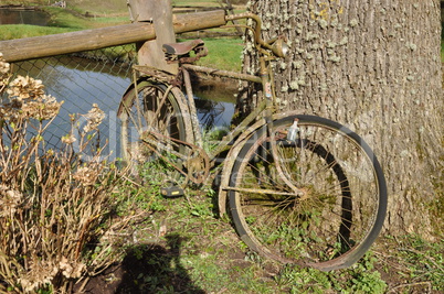 Altes Fahrrad