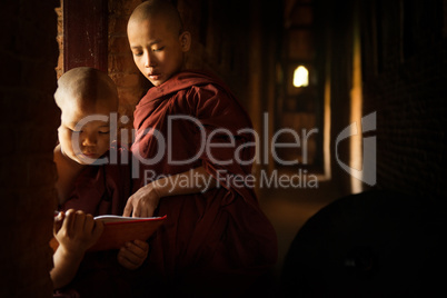 Buddhist novices learning inside temple