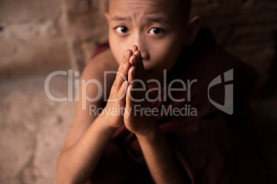 Buddhist novice monks praying