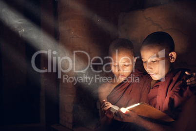 Buddhist novice monks reading in monastery